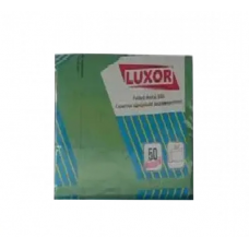 Bibs for the patient LUXOR 2P10 DARK GREEN 50pcs (33*45 cm)