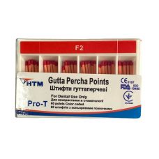NTM gutta-percha pins F2 60pcs