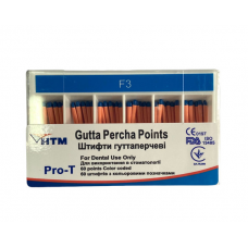 NTM gutta-percha pins F3 60pcs