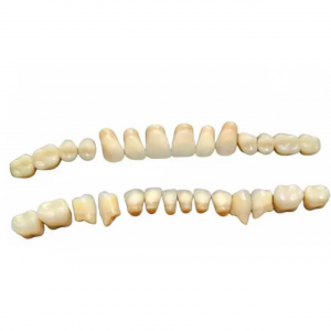 Teeth sets A3/35 Spofa Dental 28pcs