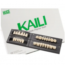 Teeth sets HUGE Kaili S2/L2/30 A1 1x28