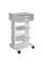 Mobile metal rack FORA ELECTRO 2 drawers with extension