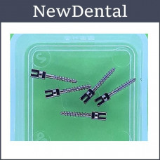 Bioloren intracanal titanium anchor pins, titanium anchor pins (Bioloren) - M2 (10 pcs.)