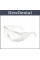 Transparent protective glasses with brackets