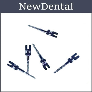 Bioloren intracanal titanium anchor pins, titanium anchor pins (Bioloren) - S2 (10 pcs.)