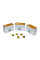 Kids Golden Crown (5 pcs)