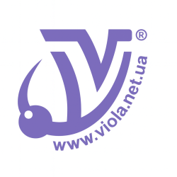 Viola