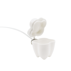Container for milk teeth WHITE DB16B