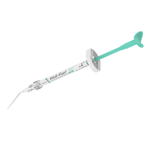WELL-ROOT ST MTA syringe 2 g