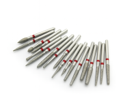 Dentex