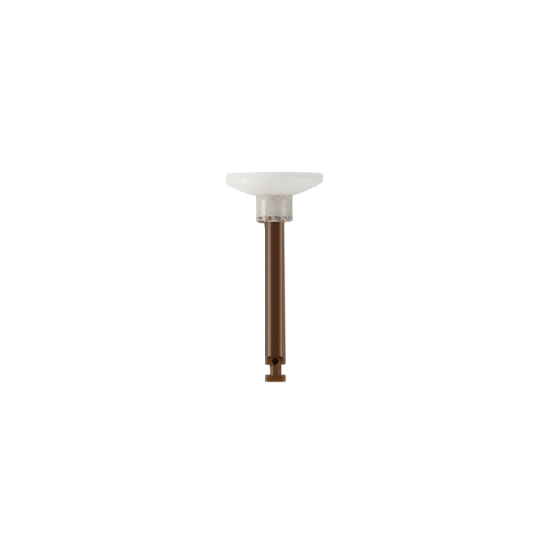 DPW1301 Silicone Polishing Disc with Plastic Holder, DP